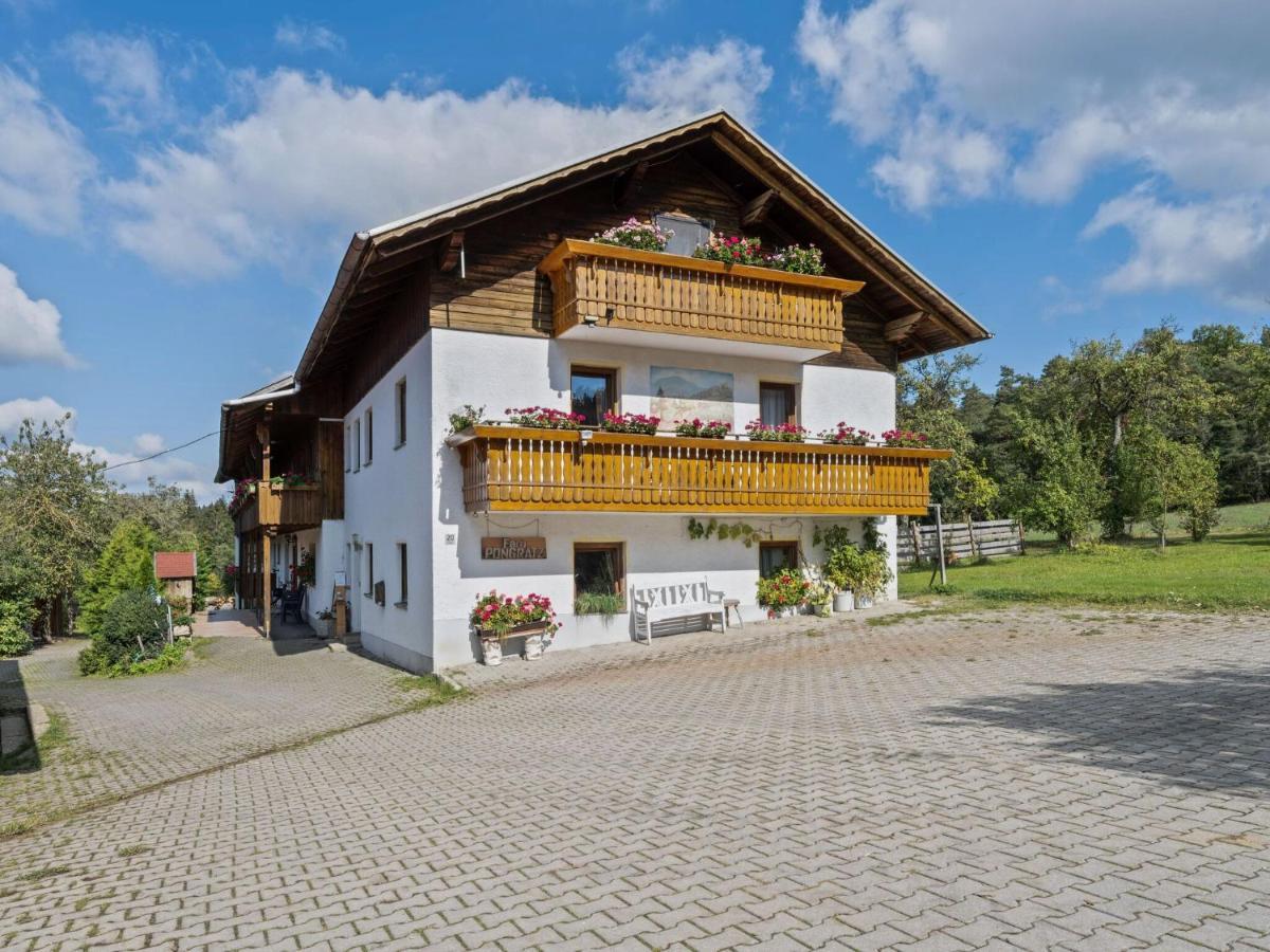 Flat On A Farm Near The Arber Ski Area Neukirchen beim Heiligen Blut Exterior foto